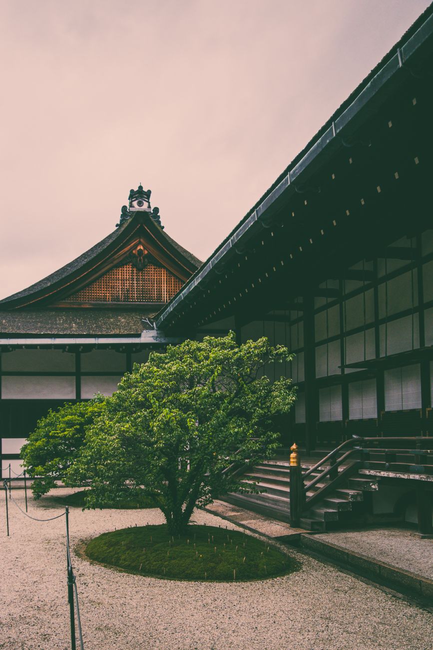 Serene Japanese moss courtyard with bamboo fence